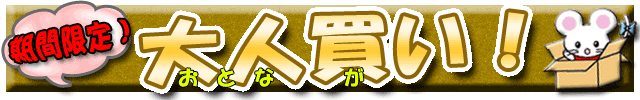 期間限定！大人買い！